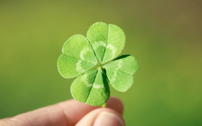 There Is No Luck in Marketing: Why Strategy Always Wins